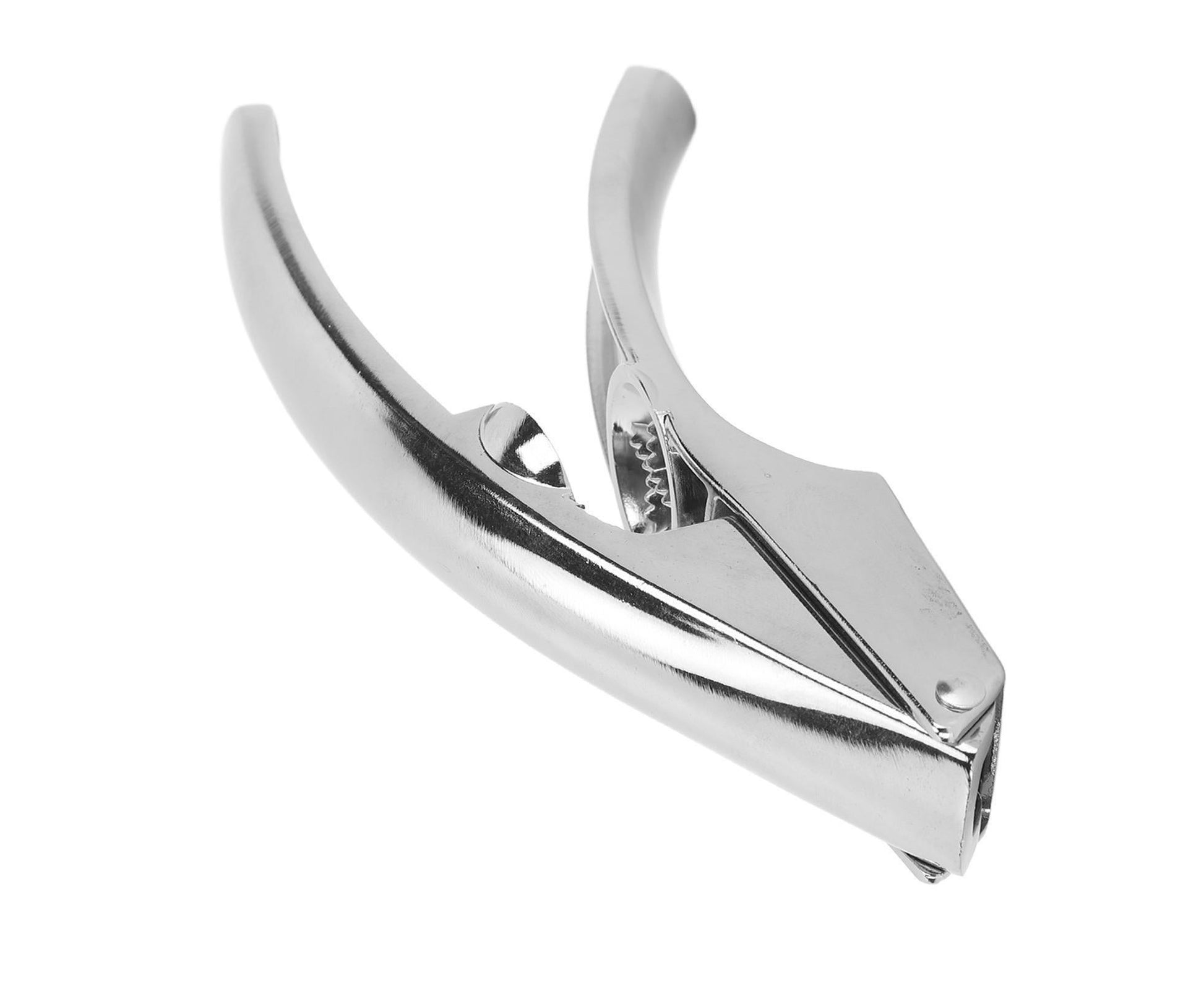 Kitchen Garlic Press Multifunctional Garlic Press Chestnut Walnut Opener Garlic Ginger Press Tool V1263-JX-1497