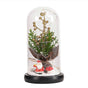 Glass Dome Christmas Plants Christmas Decorations Glass Dome Christmas Tree Branch with Lights V1263-JX-1771