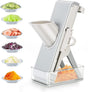 Kitchen secure Mandolin Vegetable Slicer With Adjustable Blades With Container V1263-JX-1938
