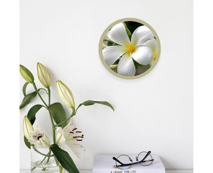 6inch Photo Frame Smooth Surface Fine Workmanship Round Wall Mounted Picture Storage Holder Home Supply - V1263-JX-2549