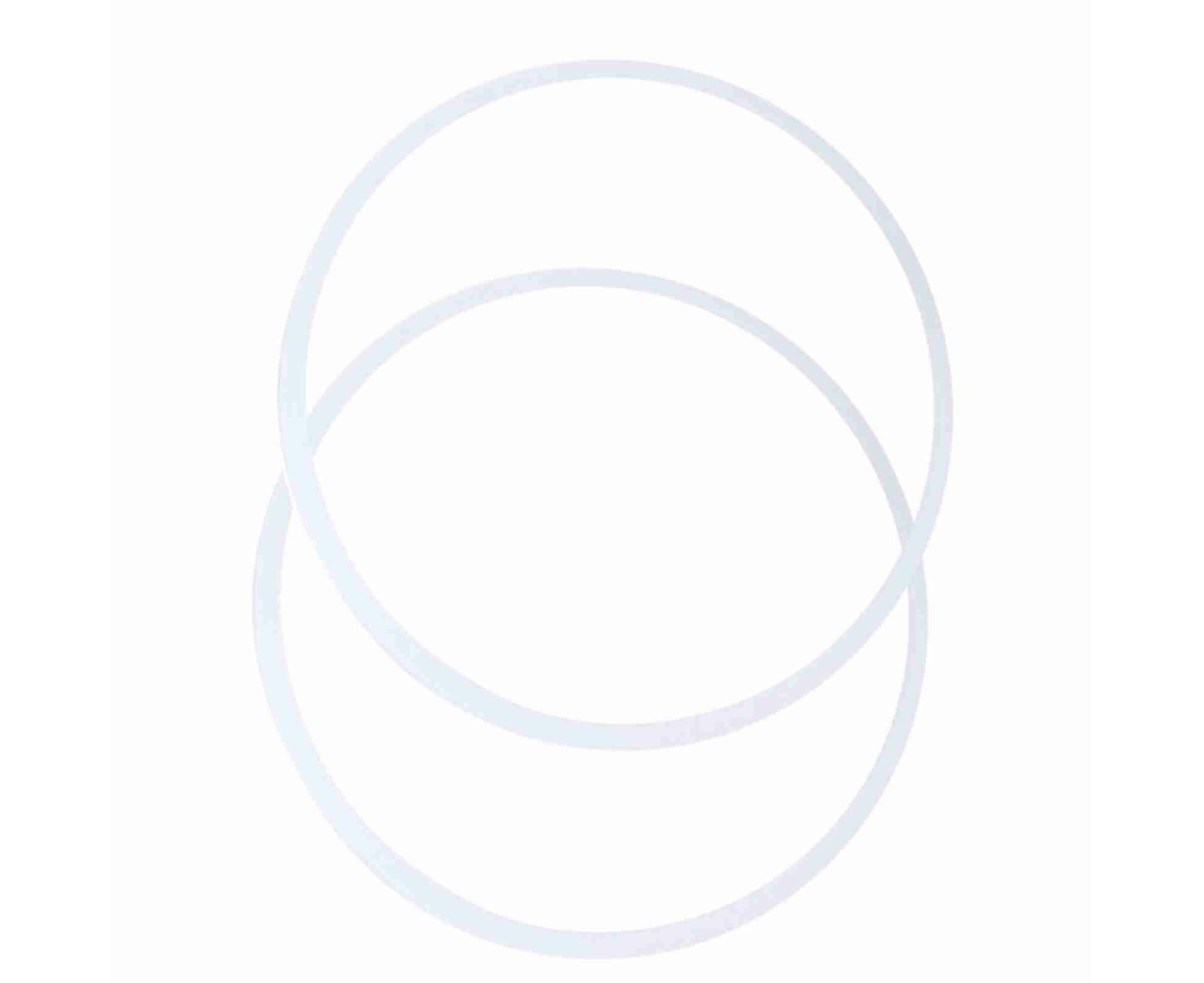 Seal Ring, Flexible Replacement for Juicer, Professional Use, Convenient V1263-JX-2901