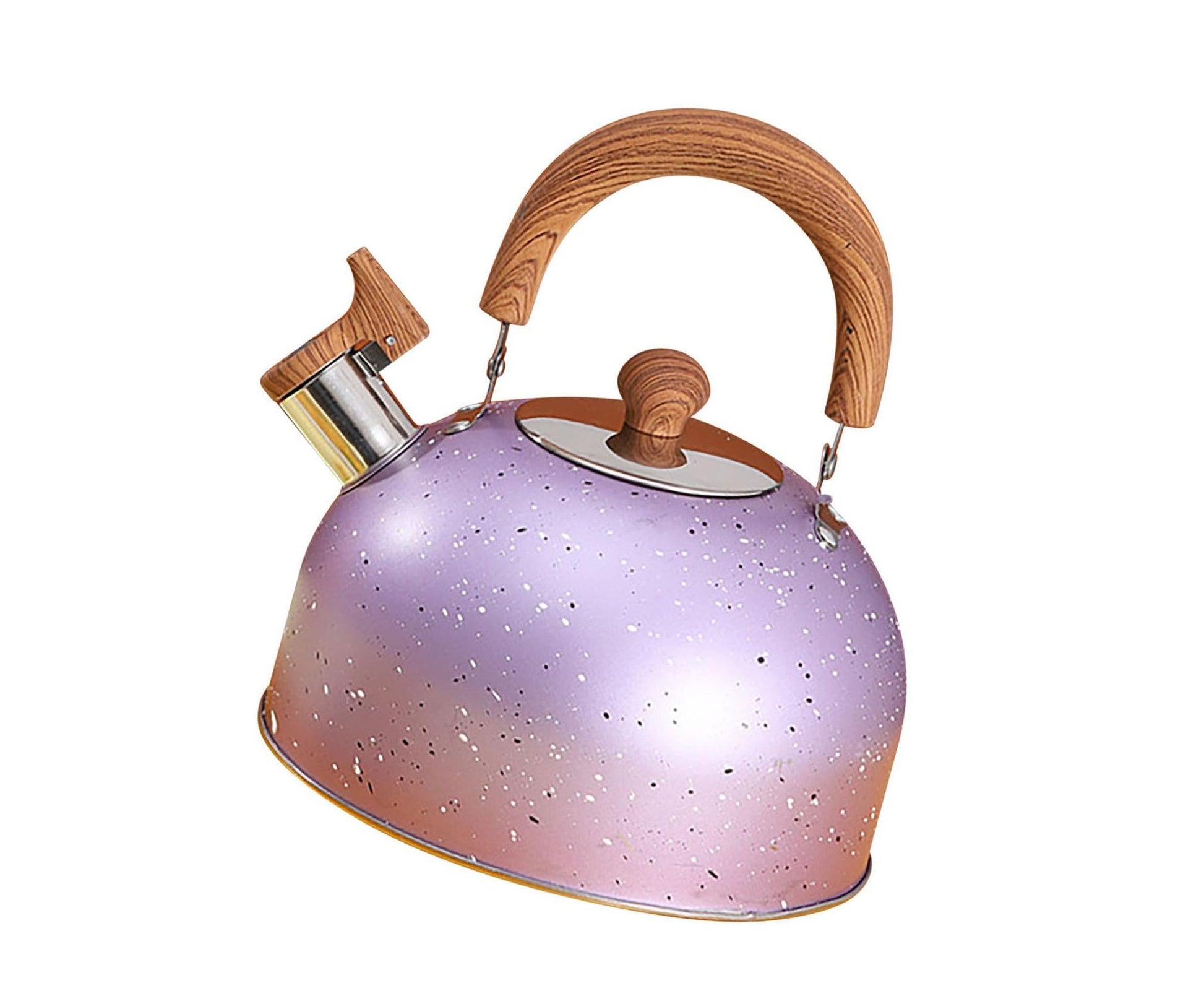 Water Kettle, Stainless Steel Whistle Kettle, Large Capacity Flat Bottom for Gas Induction, 2L, Purple V1263-JX-3009
