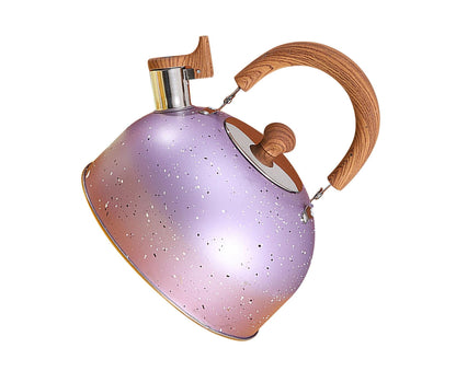 Water Kettle, Stainless Steel Whistle Kettle, Large Capacity Flat Bottom for Gas Induction, 2L, Purple V1263-JX-3009