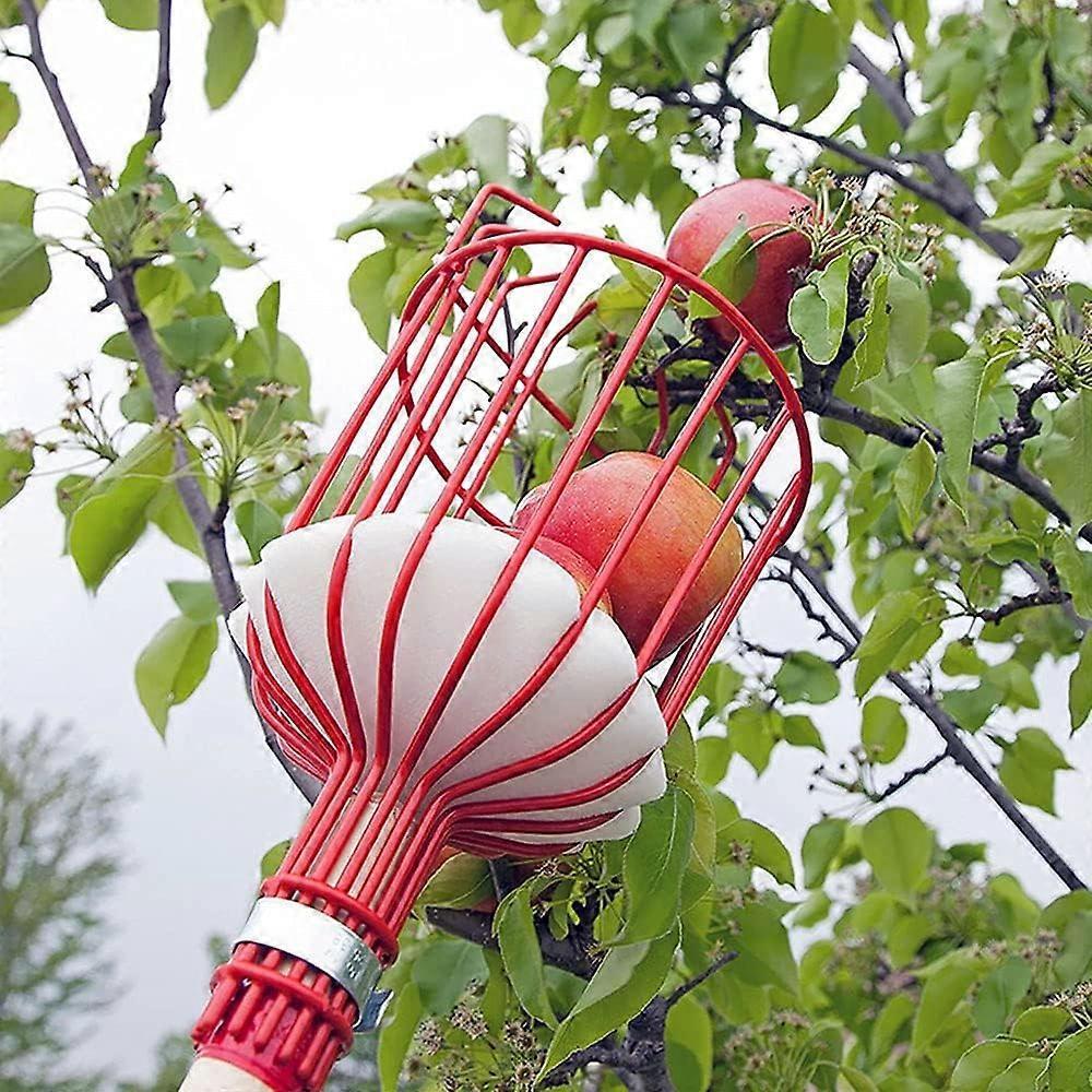 Metal Fruit Picker with Claw, Metal Fruit Picking Tool, Gardening Tools for Harvesting Apples, Citrus, Pears, V1263-JX-3060