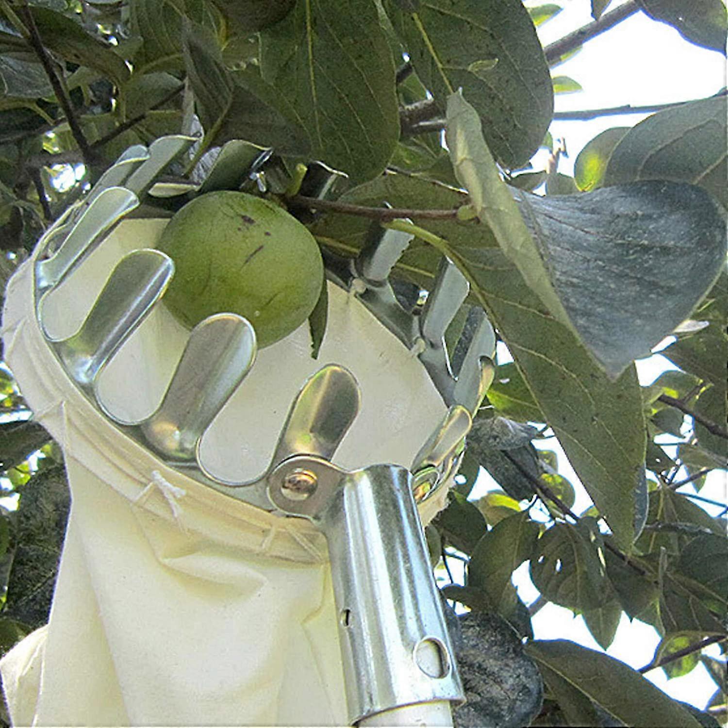 Fruit Picking Tool,Fruit Pickers Gardening Picking Tools Metal Fruit Picker with Collection Bag for V1263-JX-3063