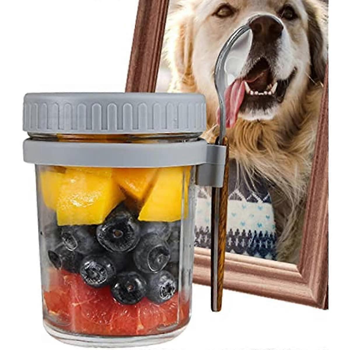 Salad Jars with Spoon Breakfast On The Go Oats Cups Large Airtight Storage Jars V1263-JX-310