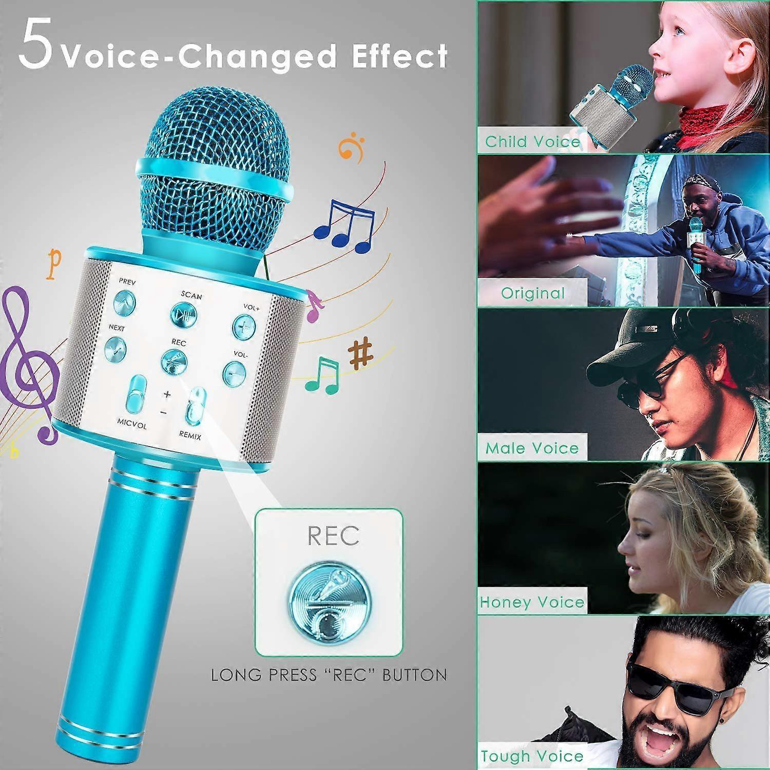 Portable Wireless Handheld Karaoke Microphone - babies Microphone V1263-JX-3663