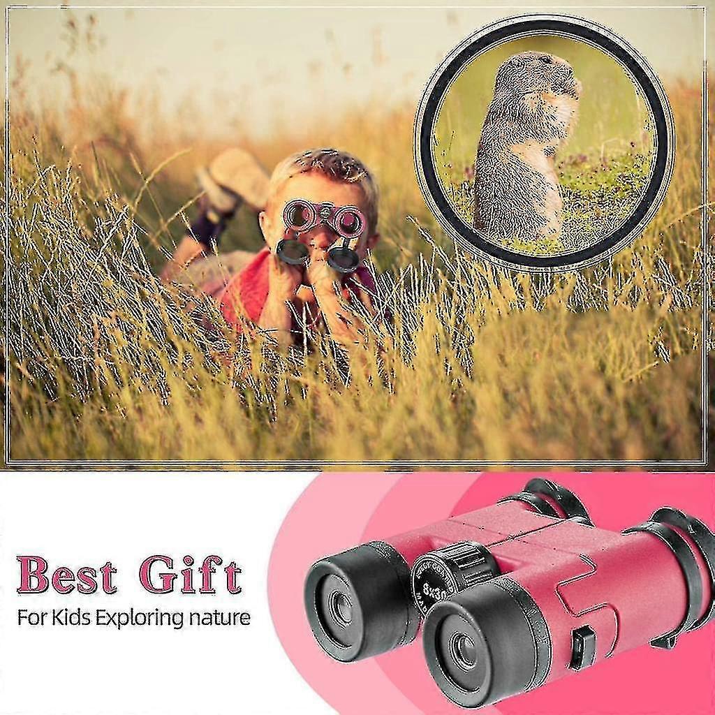 HD Binoculars for Adults Compact High Power Travel Viewing Optics V1263-JX-4140