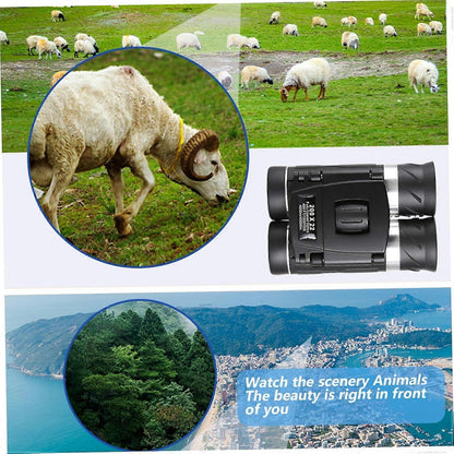 200x22 HD Binoculars for Adults High Power Compact Travel Bird Watching Binoculars V1263-JX-4153