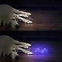 5 LED UV Flashlight Purple Light for Detection & Outdoor Use V1263-JX-4255