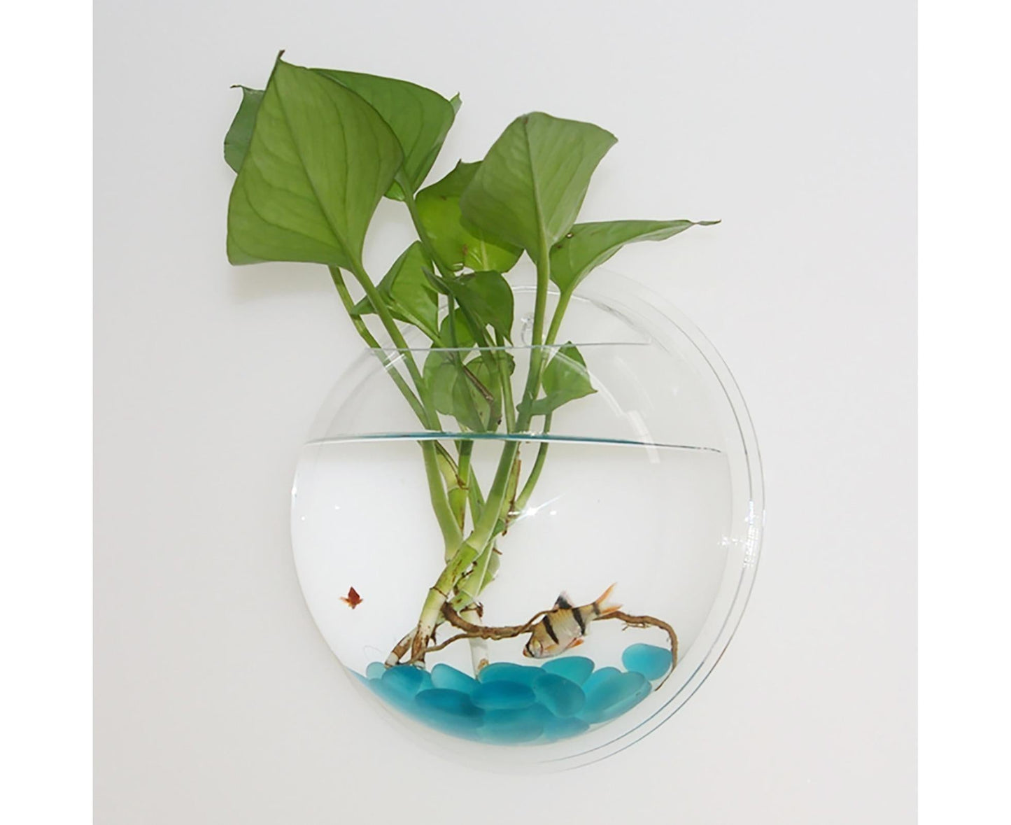1 Set Fish Tank Decorative Wall Mounted Hanging Flower Vase-Transparent V1263-JX-446