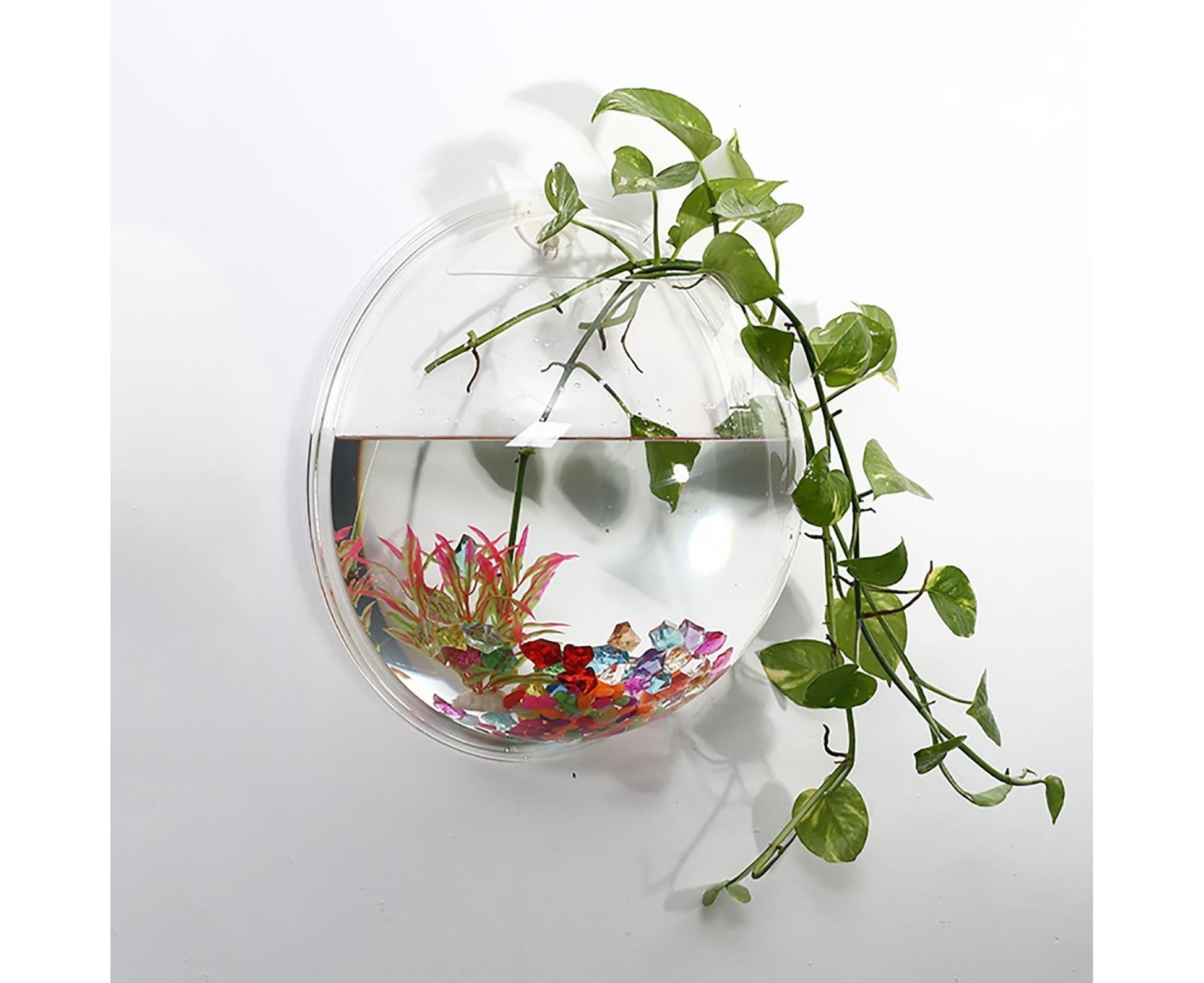 1 Set Fish Tank Decorative Wall Mounted Hanging Flower Vase-Transparent V1263-JX-446