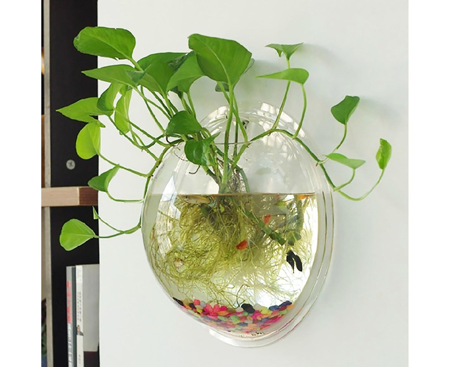1 Set Fish Tank Decorative Wall Mounted Hanging Flower Vase-Transparent V1263-JX-446