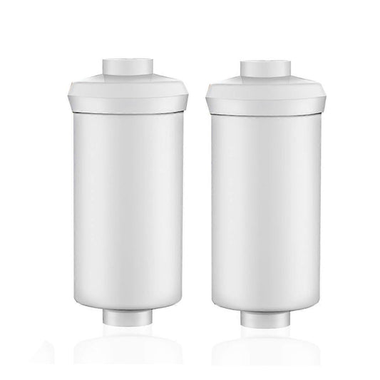 2pcs Fluoride Filtration Filters for Water Filter Systems V1263-JX-4601