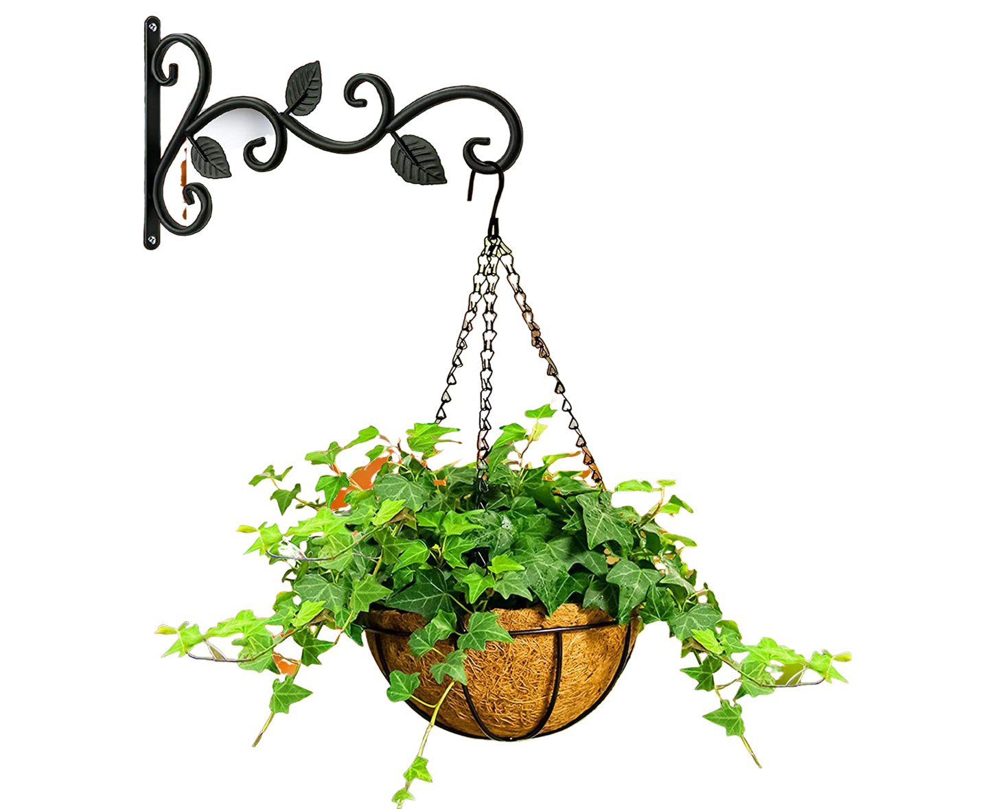Plant Holder for Garden-Black V1263-JX-487