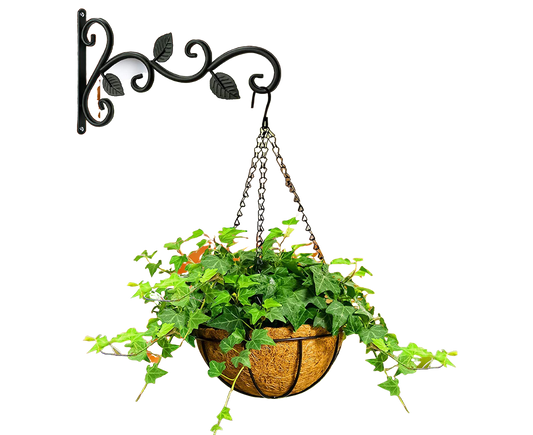 Plant Holder for Garden-Black V1263-JX-487
