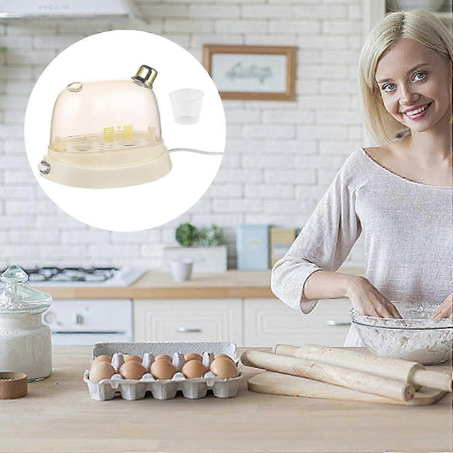 120W Electric Egg Steamer, Portable Dorm Egg Boiler V1263-JX-4950