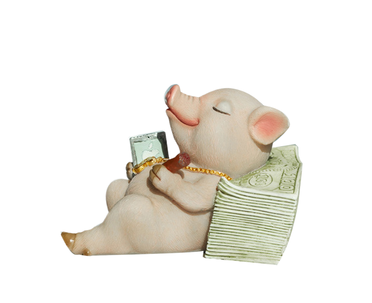 Lovely Moving Brick Reading Book Pig Ornament Home Desktop Decor Resin Craft-5# V1263-JX-528