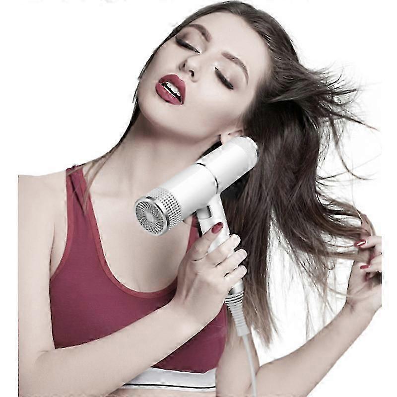 Professional Blow Dryer with Diffuser Hot & Cold Fast Drying V1263-JX-5603