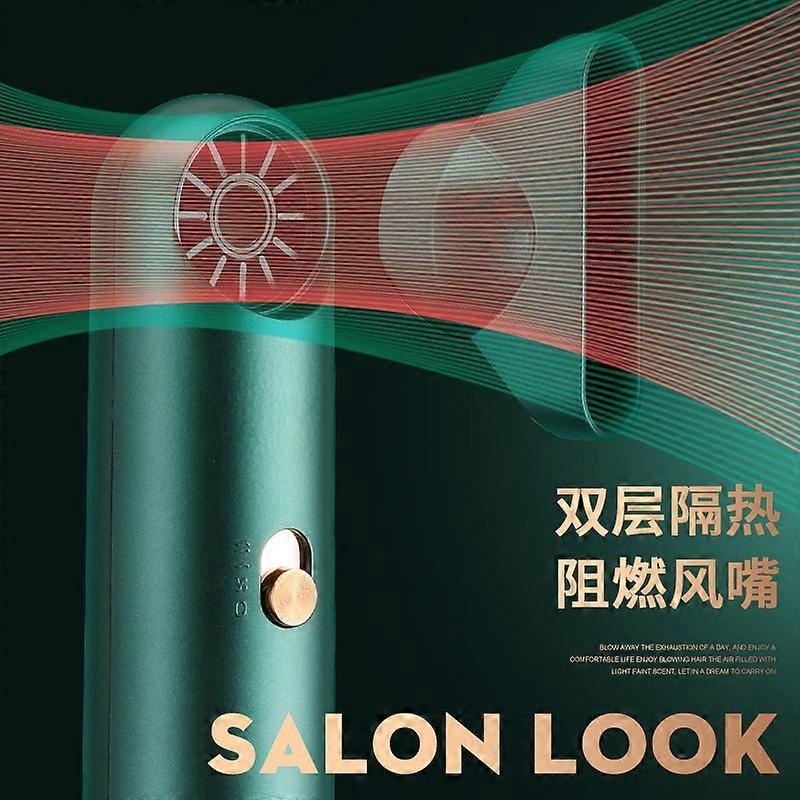 Mini Silent Anion Hair Dryer Portable Leafless High Power Dryer V1263-JX-5605