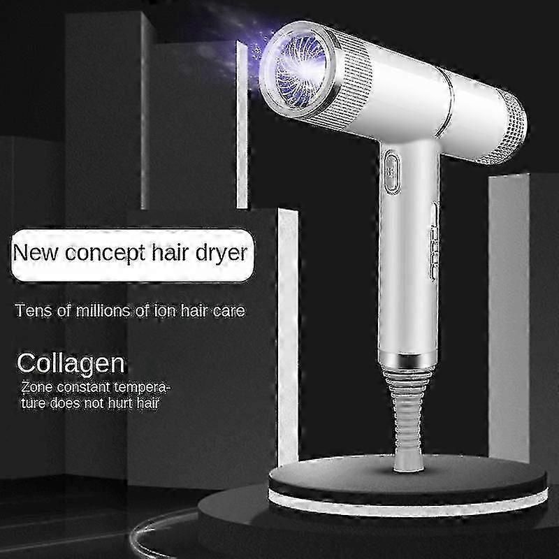 2000W Professional Ionic Hair Dryer with Diffuser Silver Purple V1263-JX-5617