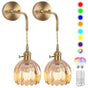 Battery Operated Wall Sconces Set of 2, Vintage Amber Glass, Rechargeable, Remote Dimmable V1263-JX-5779