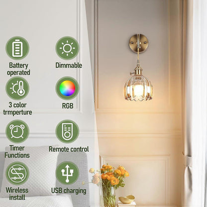 Battery Operated Wall Sconces Set of 2, Vintage Amber Glass, Rechargeable, Remote Dimmable V1263-JX-5779