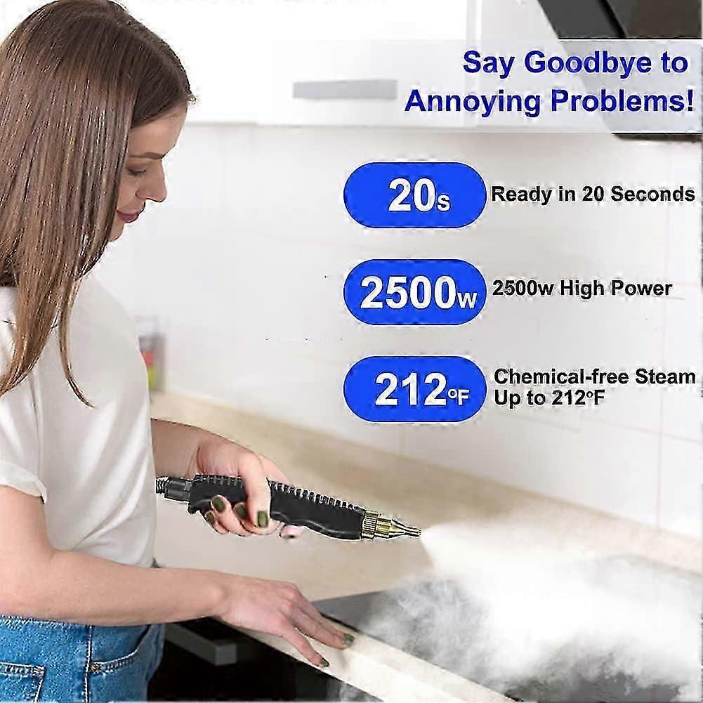 2500W Handheld Steam Cleaner for Home Use Portable Cleaning Steamer V1263-JX-5913