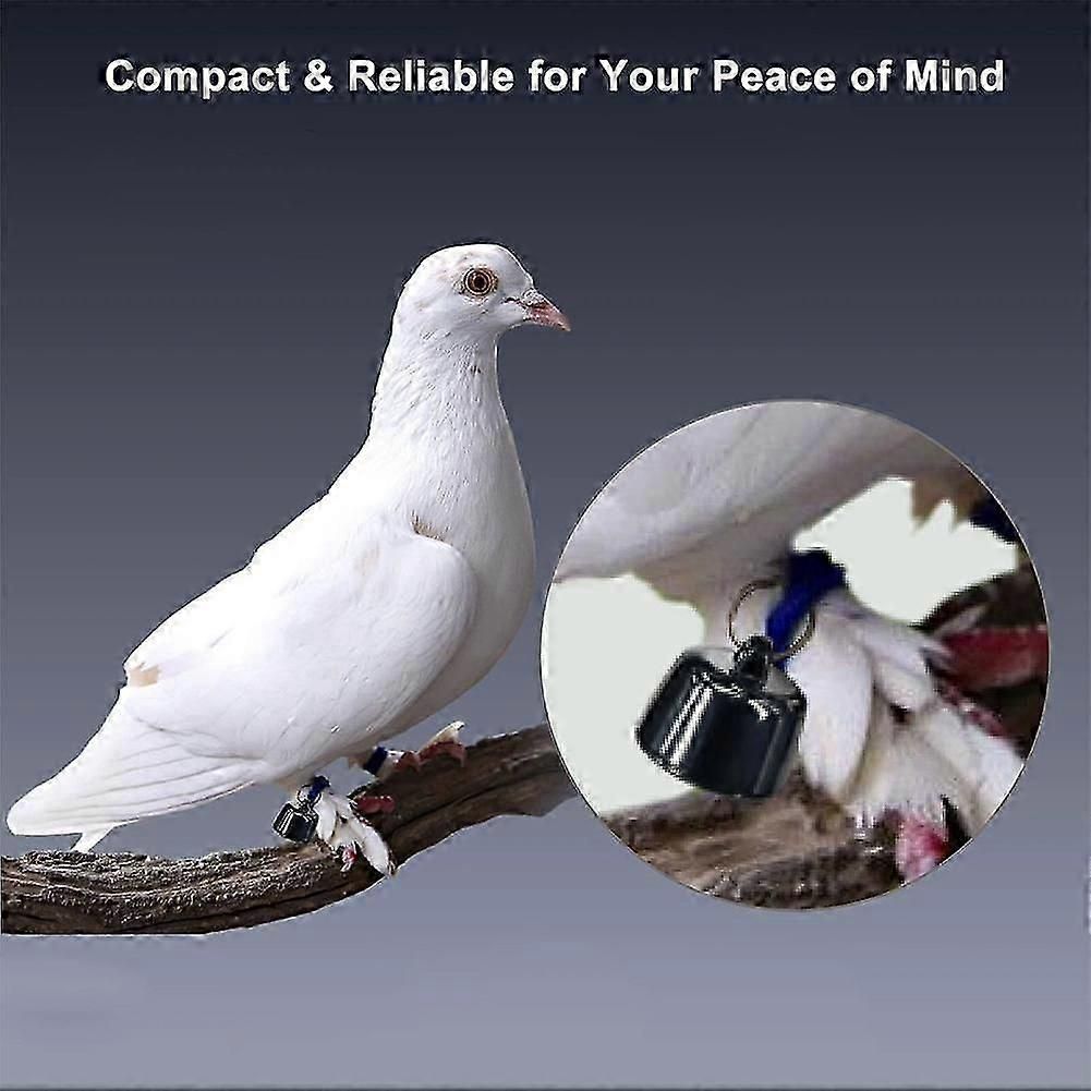 Mini Smart Pet Tracker with Collar - GPS Real-Time Location for Cats V1263-JX-6048