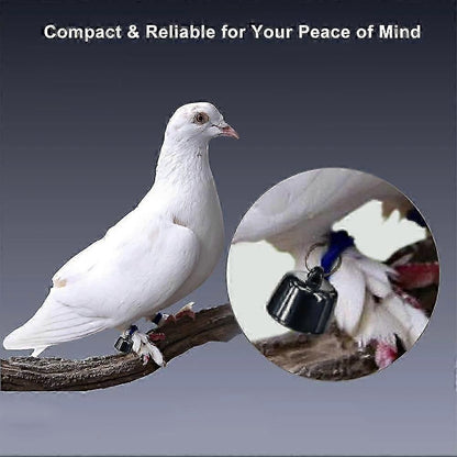 Mini Smart Pet Tracker with Collar - GPS Real-Time Location for Cats V1263-JX-6048