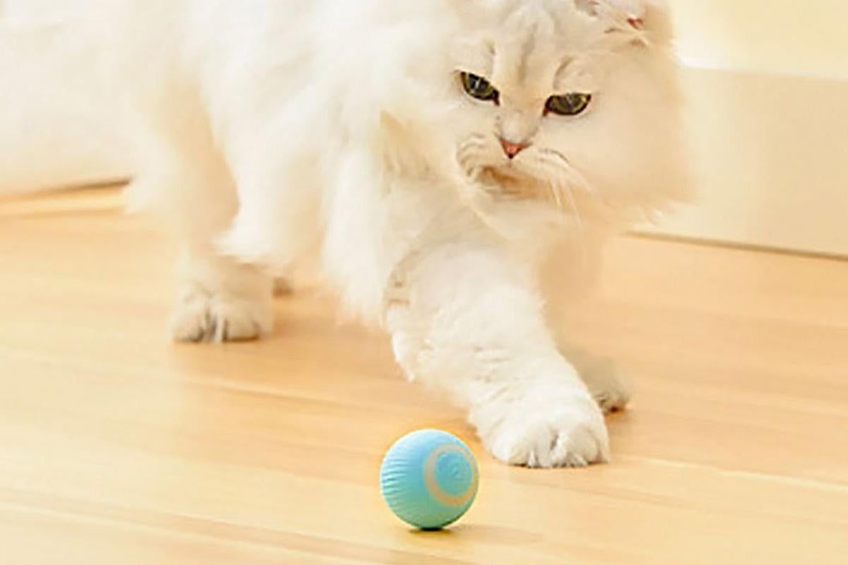 2PCS Interactive Smart Cat Toy Automatic Rolling Cat Ball Self-Moving Kitten Toys V1263-JX-6101
