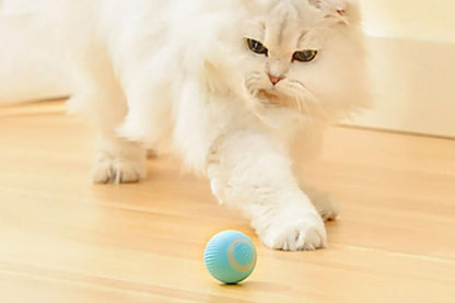 2PCS Interactive Smart Cat Toy Automatic Rolling Cat Ball Self-Moving Kitten Toys V1263-JX-6101