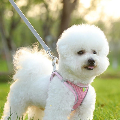 Pet Cat Harness and Leash Set Breathable Vest with Reflective Strip for Kitten Walking Traveling Pink V1263-JX-6160-1