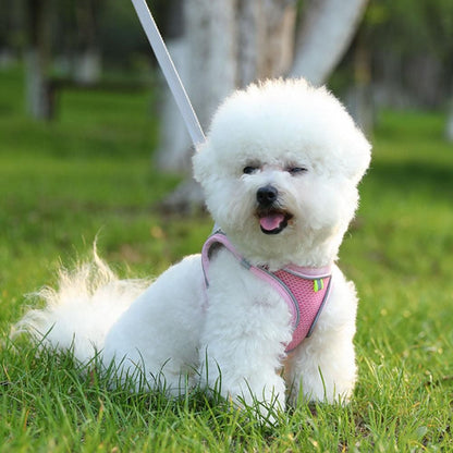 Pet Cat Harness and Leash Set Breathable Vest with Reflective Strip for Kitten Walking Traveling Pink V1263-JX-6160-1