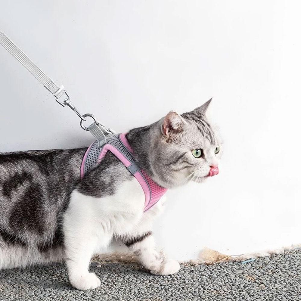Pet Cat Harness and Leash Set Breathable Vest with Reflective Strip for Kitten Walking Traveling Pink V1263-JX-6160-1