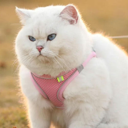 Pet Cat Harness and Leash Set Breathable Vest with Reflective Strip for Kitten Walking Traveling Pink V1263-JX-6160-3
