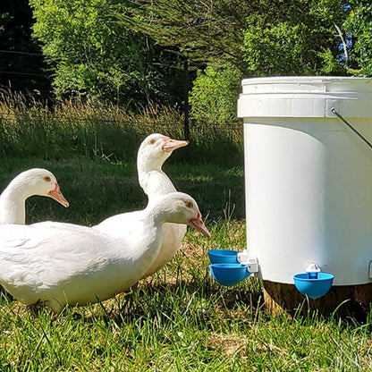 5Pcs Automatic Chicken Waterer Cups Water Feeder for Chicks Duck Goose Blue V1263-JX-6161