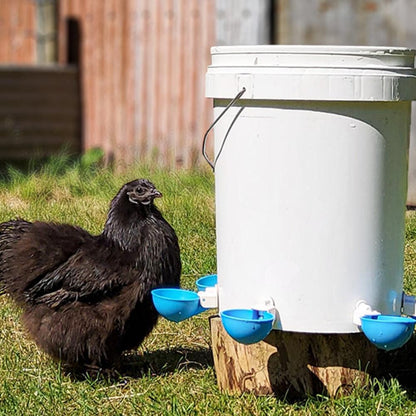 5Pcs Automatic Chicken Waterer Cups Water Feeder for Chicks Duck Goose Blue V1263-JX-6161