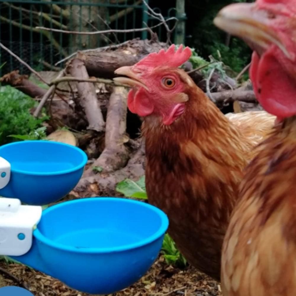 5Pcs Automatic Chicken Waterer Cups Water Feeder for Chicks Duck Goose Blue V1263-JX-6161