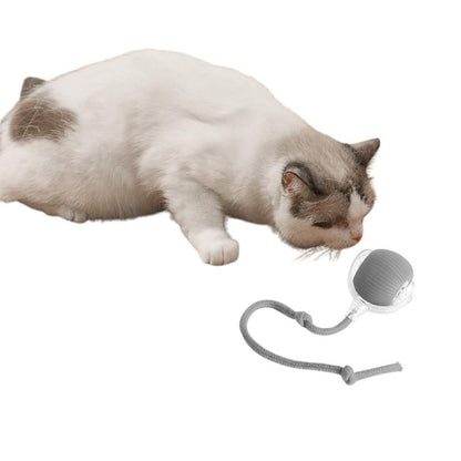 Interactive Cat Toy Ball Fast Rolling Motion Activate Cat Toys Gray V1263-JX-6163