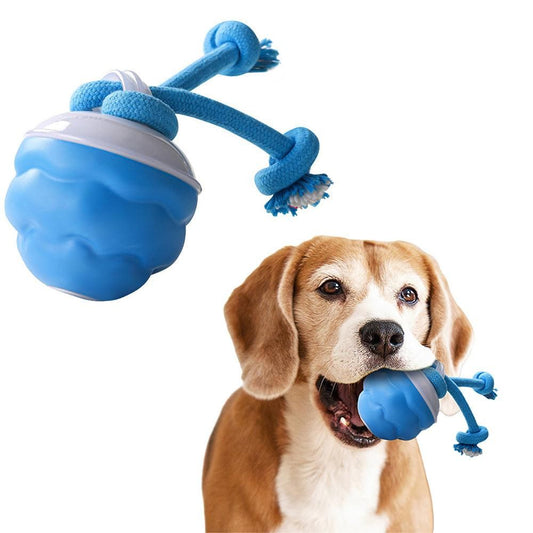 3-Mode Pet Interactive Toys Squeaky Auto Rolling Ball Dog Toy Blue V1263-JX-6164