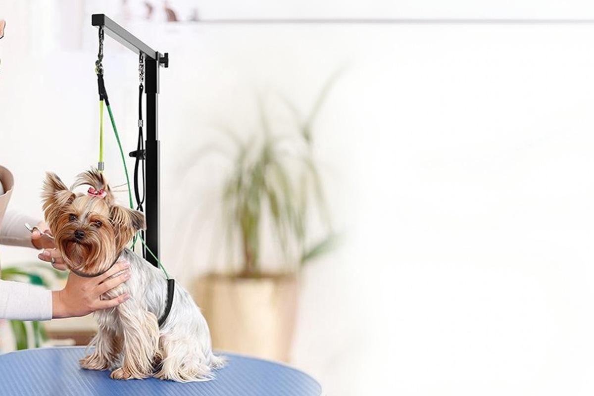 Dog Grooming Arm Pet Grooming Hammock Dog Grooming Stand with Loop Noose V1263-JX-6201