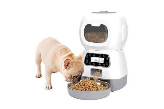 Automatic Feeder Pet Food Dispenser Automatic Cat Feeder Dry Food Dispenser Smart Pet Feeder Timed Cat Feeder V1263-JX-6202-2