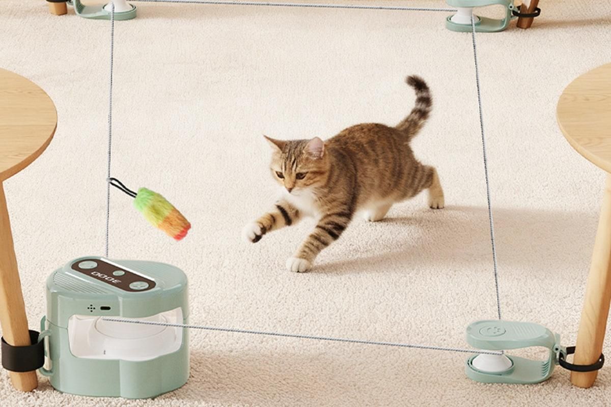 Interactive Cat Toy Automatic Moving And Enrichment Toy For Indoor Cats V1263-JX-6210-2