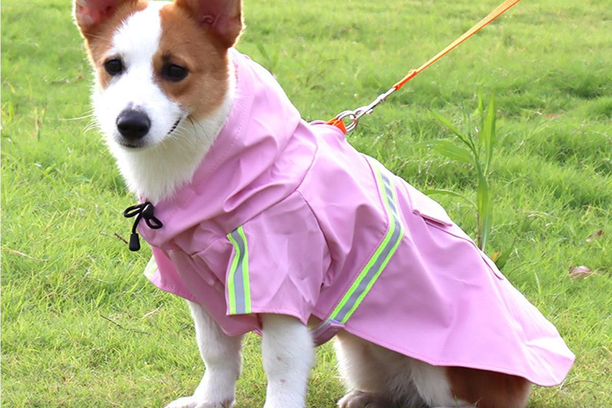Pet Raincoat Outdoor Waterproof Dog Poncho for Small and Medium Dogs - Pink V1263-JX-6217-4