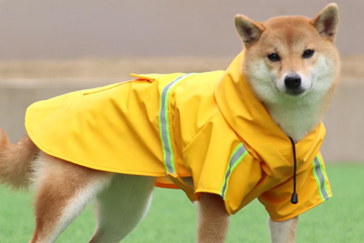 Pet Raincoat Outdoor Waterproof Dog Poncho for Small and Medium Dogs - Orange V1263-JX-6218-2