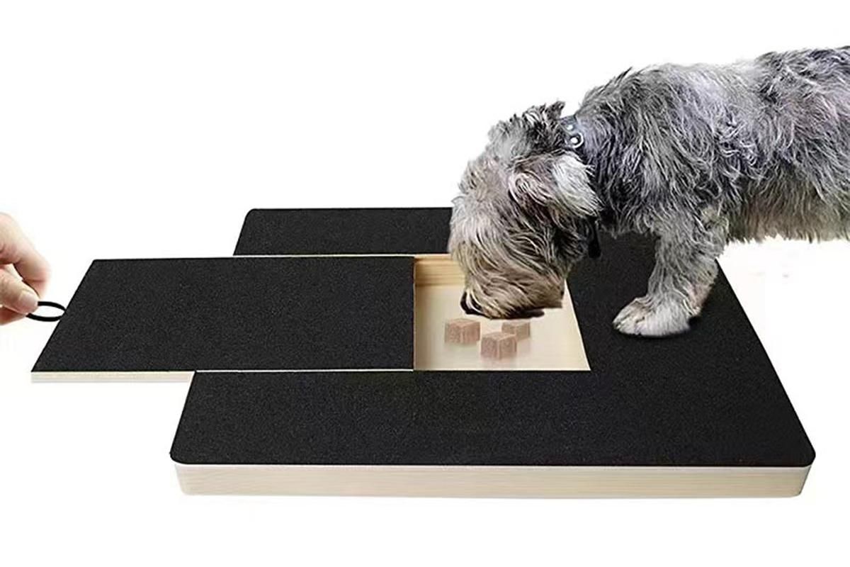 Dog Scratch Pad for Nails Scratching Board with Treat Box V1263-JX-6220