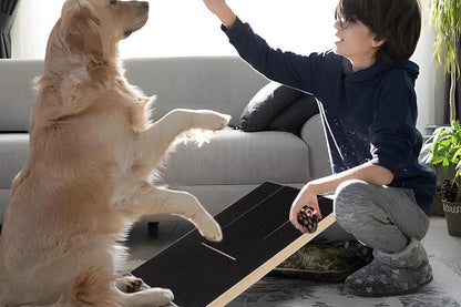 Dog Scratch Pad for Nails Scratching Board with Treat Box V1263-JX-6220