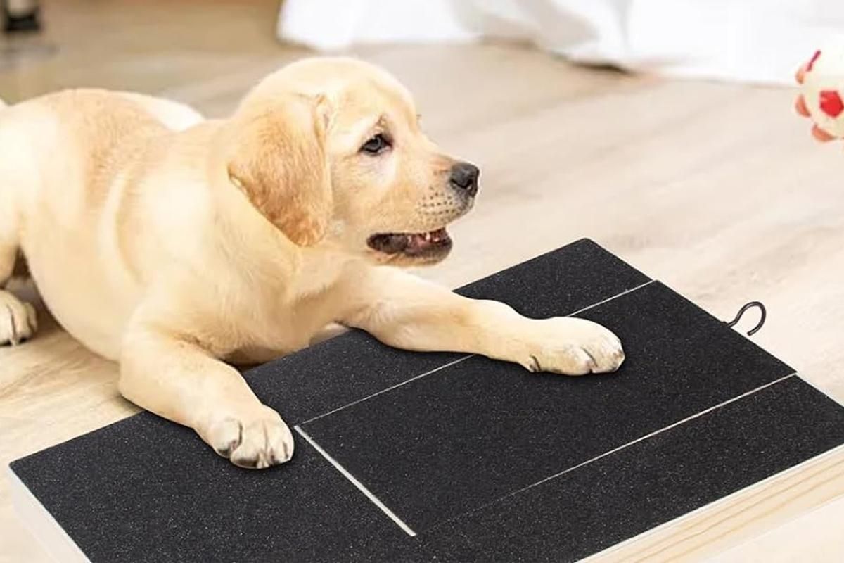 Dog Scratch Pad for Nails Scratching Board with Treat Box V1263-JX-6220