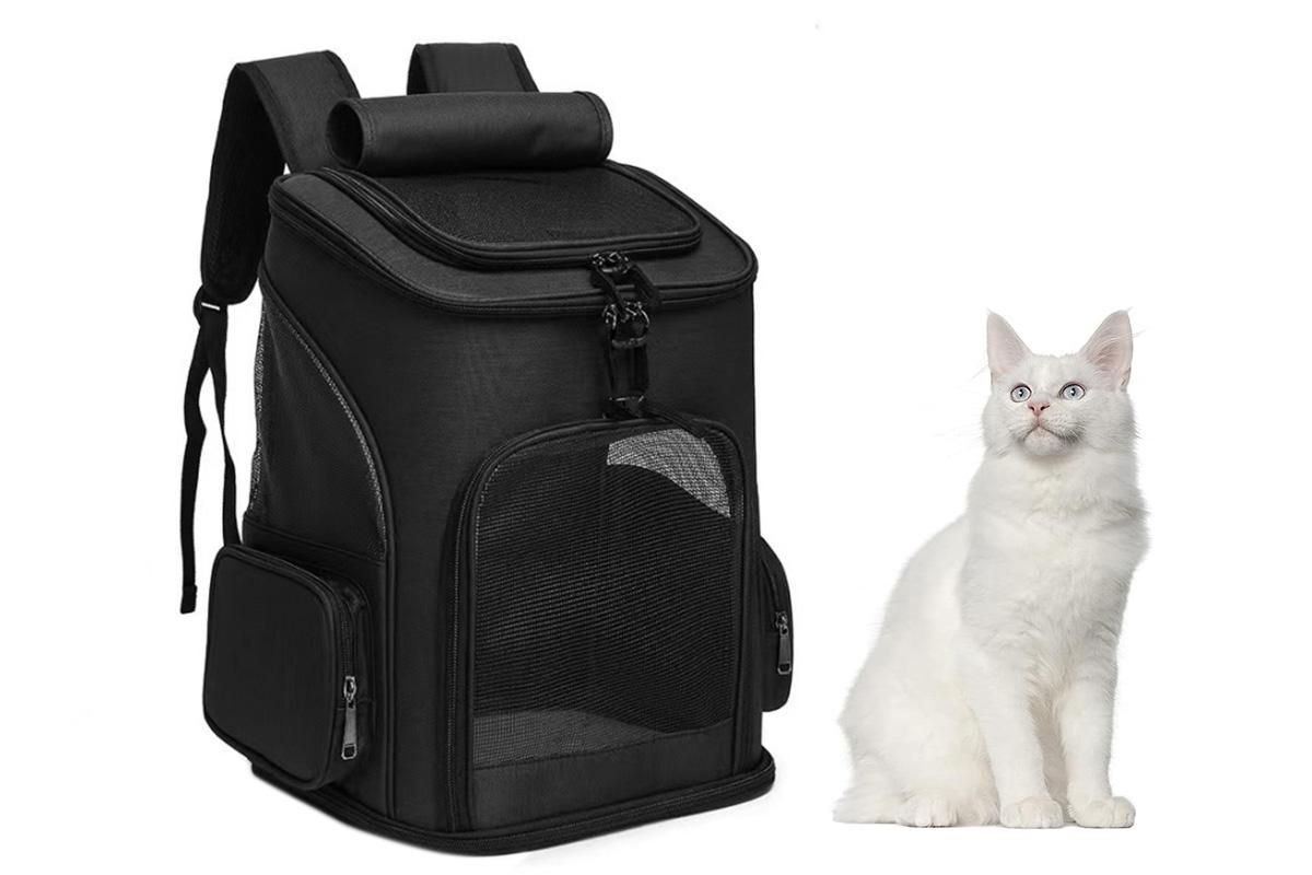 Expandable Large Cat Backpack Carrier for Small Pets - Black V1263-JX-6221